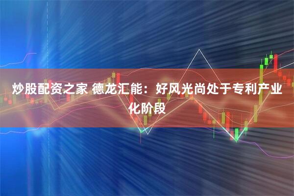 炒股配资之家 德龙汇能：好风光尚处于专利产业化阶段